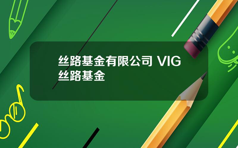 丝路基金有限公司 VIG丝路基金